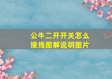 公牛二开开关怎么接线图解说明图片