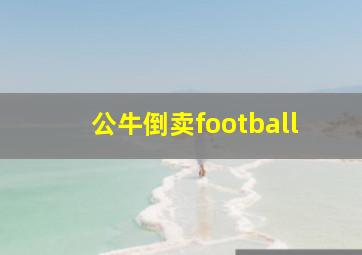 公牛倒卖football