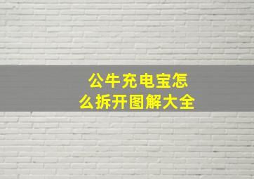 公牛充电宝怎么拆开图解大全