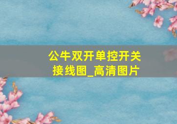 公牛双开单控开关接线图_高清图片