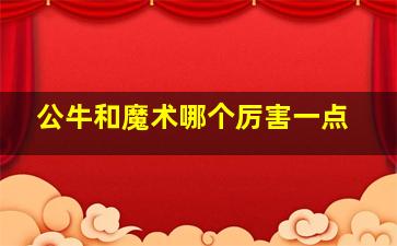 公牛和魔术哪个厉害一点