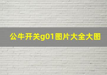 公牛开关g01图片大全大图