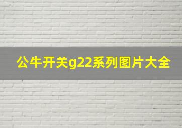 公牛开关g22系列图片大全