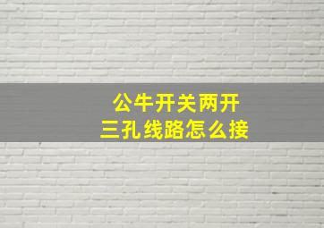 公牛开关两开三孔线路怎么接