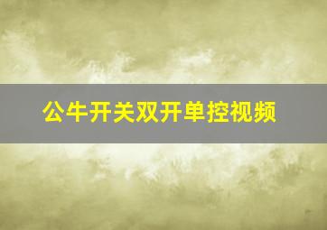 公牛开关双开单控视频