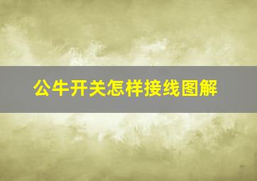 公牛开关怎样接线图解