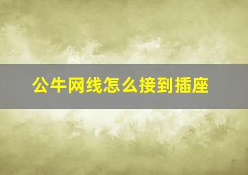 公牛网线怎么接到插座