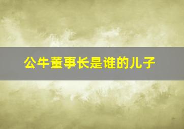 公牛董事长是谁的儿子