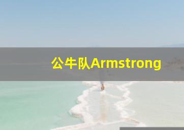 公牛队Armstrong