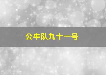 公牛队九十一号