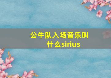 公牛队入场音乐叫什么sirius