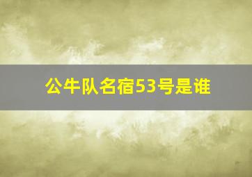 公牛队名宿53号是谁