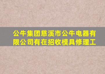 公牛集团慈溪市公牛电器有限公司有在招收模具修理工