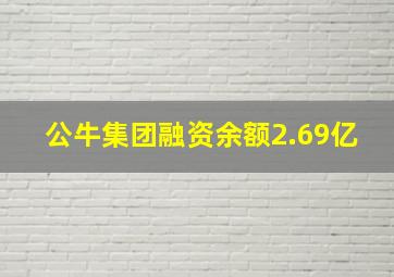 公牛集团融资余额2.69亿