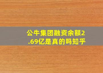 公牛集团融资余额2.69亿是真的吗知乎