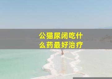 公猫尿闭吃什么药最好治疗