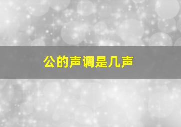 公的声调是几声