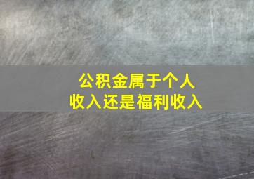 公积金属于个人收入还是福利收入