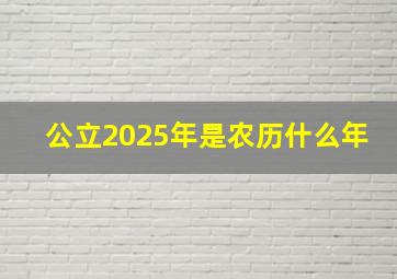 公立2025年是农历什么年