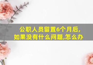 公职人员留置6个月后,如果没有什么问题,怎么办