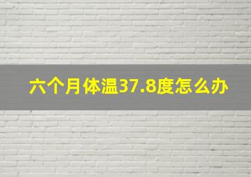 六个月体温37.8度怎么办