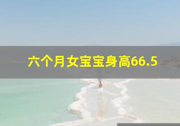 六个月女宝宝身高66.5