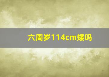 六周岁114cm矮吗