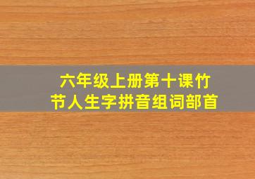 六年级上册第十课竹节人生字拼音组词部首