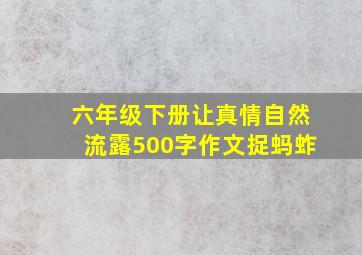 六年级下册让真情自然流露500字作文捉蚂蚱