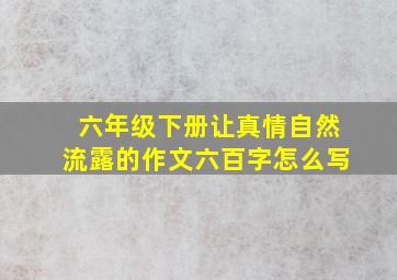 六年级下册让真情自然流露的作文六百字怎么写