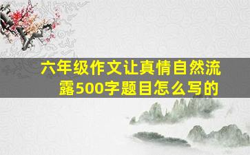 六年级作文让真情自然流露500字题目怎么写的