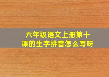 六年级语文上册第十课的生字拼音怎么写呀