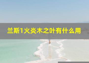 兰斯1火炎木之叶有什么用