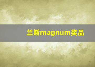 兰斯magnum奖品