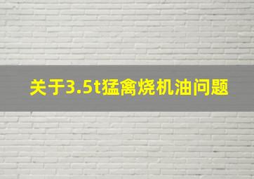 关于3.5t猛禽烧机油问题