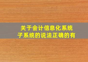 关于会计信息化系统子系统的说法正确的有