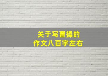 关于写曹操的作文八百字左右