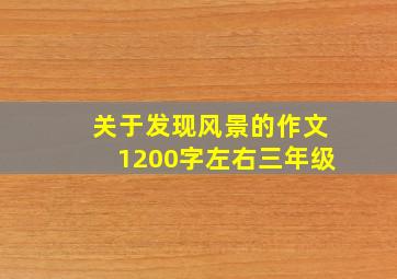 关于发现风景的作文1200字左右三年级