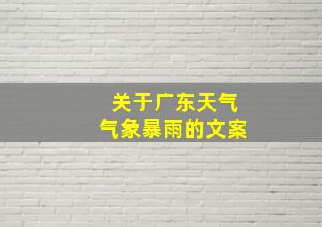 关于广东天气气象暴雨的文案