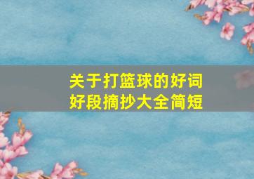 关于打篮球的好词好段摘抄大全简短