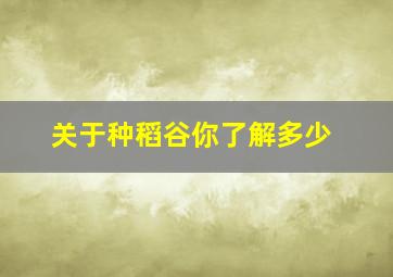 关于种稻谷你了解多少