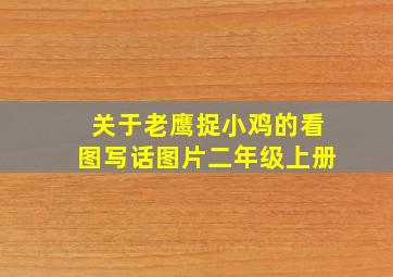 关于老鹰捉小鸡的看图写话图片二年级上册