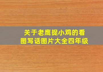 关于老鹰捉小鸡的看图写话图片大全四年级