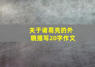 关于诸葛亮的外貌描写20字作文