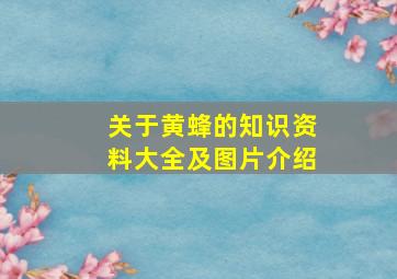 关于黄蜂的知识资料大全及图片介绍