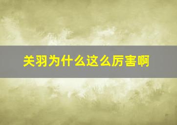 关羽为什么这么厉害啊