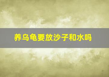 养乌龟要放沙子和水吗