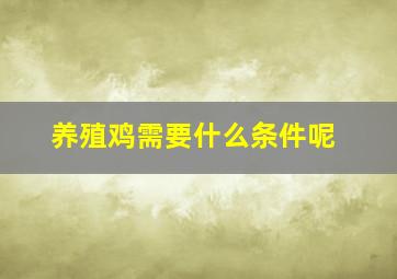 养殖鸡需要什么条件呢