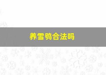 养雪鸮合法吗