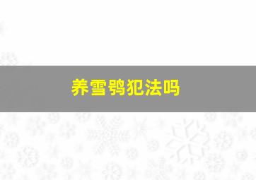 养雪鸮犯法吗